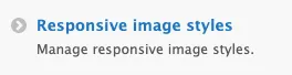 Responsive Image Styles Config