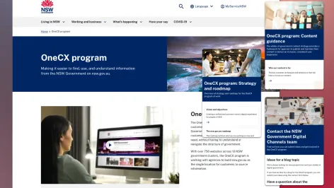 Screenshot of OneCX program and section pull outs